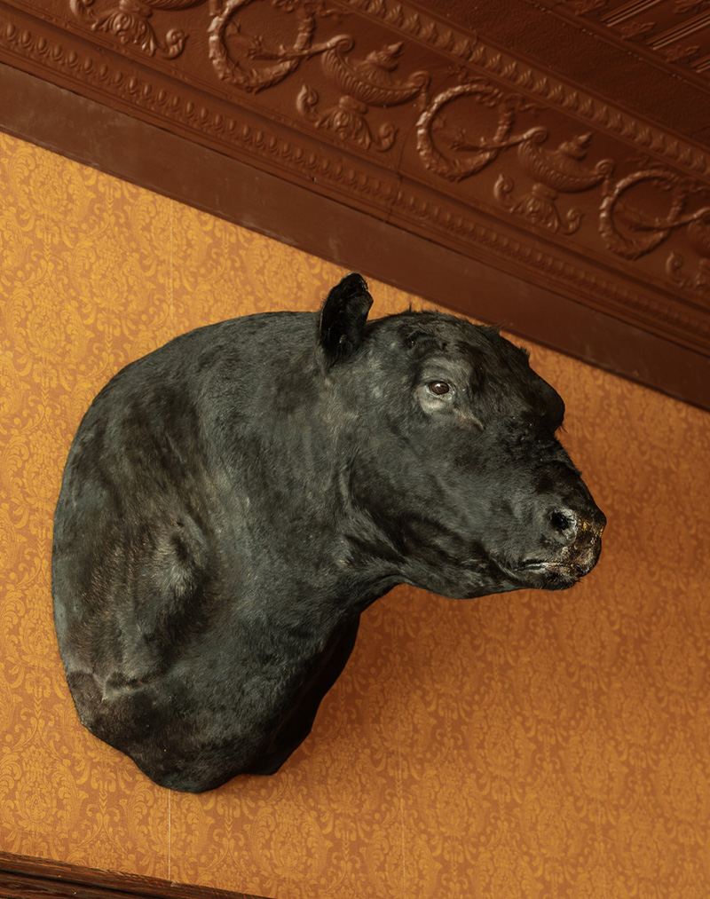 stockmans-bar-bozemanmt-12