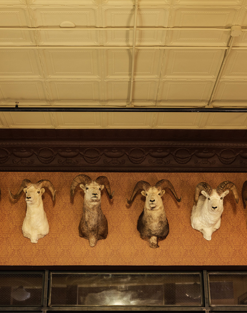 stockmans-bar-bozemanmt-14